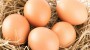 Čerstvá vejce