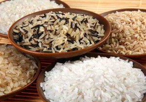různé druhy rýže